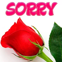 Sorry Stickers for WhatsApp